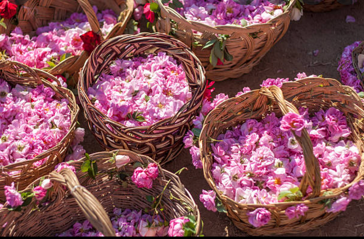 How to Use Rose Water For Acne